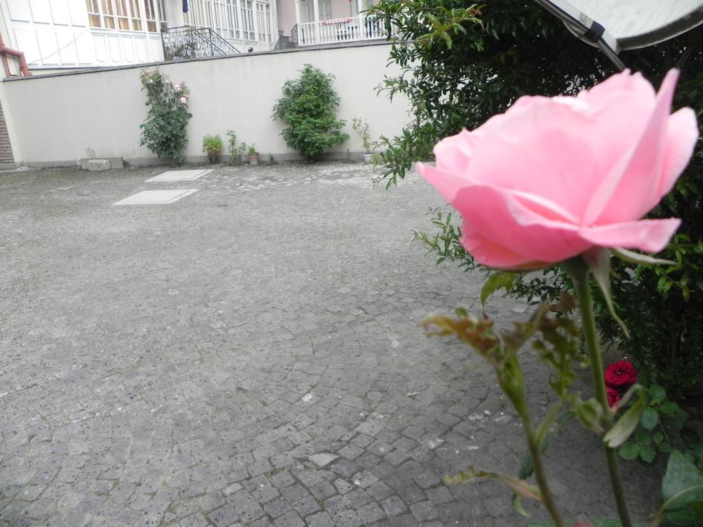 Old Yard Guest House Tbilisi Ngoại thất bức ảnh